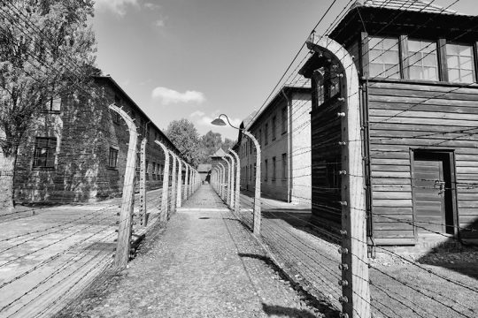 auschwitz